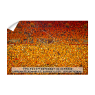 ae6277524da7061b4039ec27fd127769.png