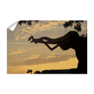 7c8b30b581a47eecdda21d32b6d2c07b.png